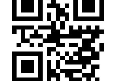 simple qr code for a short text